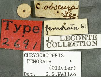 Media type: image;   Entomology 2691 Aspect: labels